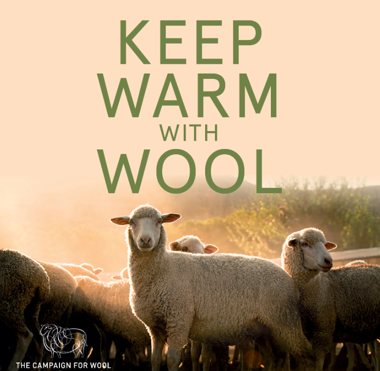Why Wool? and how to care for it