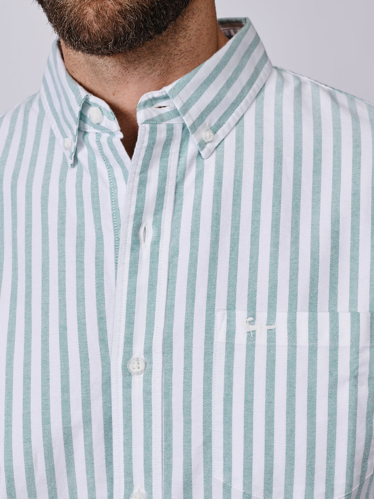 Aubin Thin Green Stripe Aldridge Oxford Button Down Shirt | Oxford Shirt