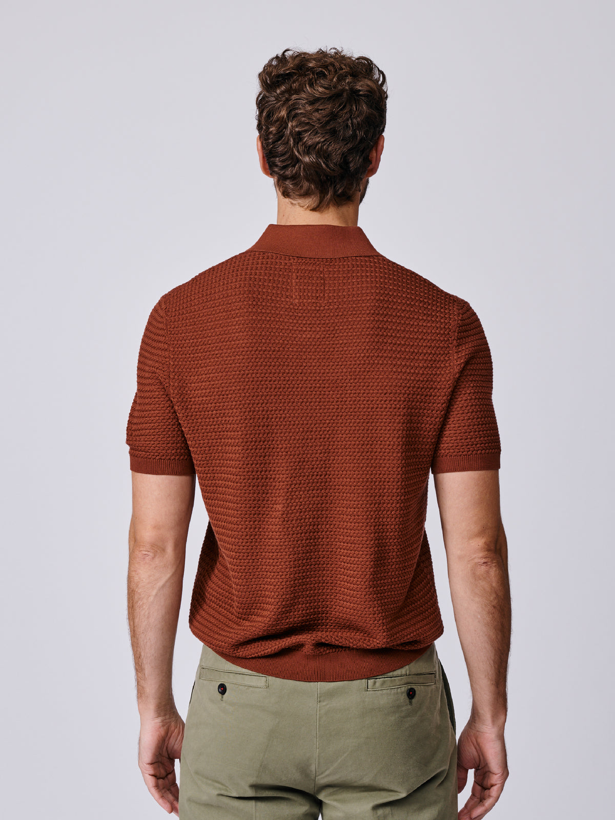 Aubin Rust Alford Textured Polo | Knitted Polo