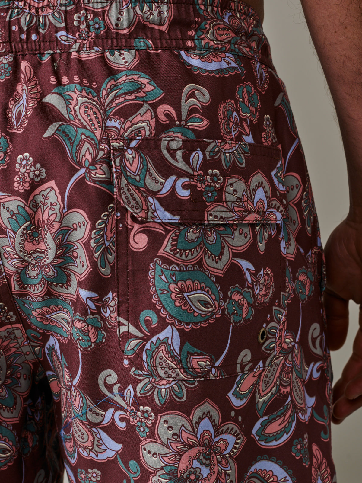 Aubin Brown Paisley Bardney Swim Short | Swim Shorts
