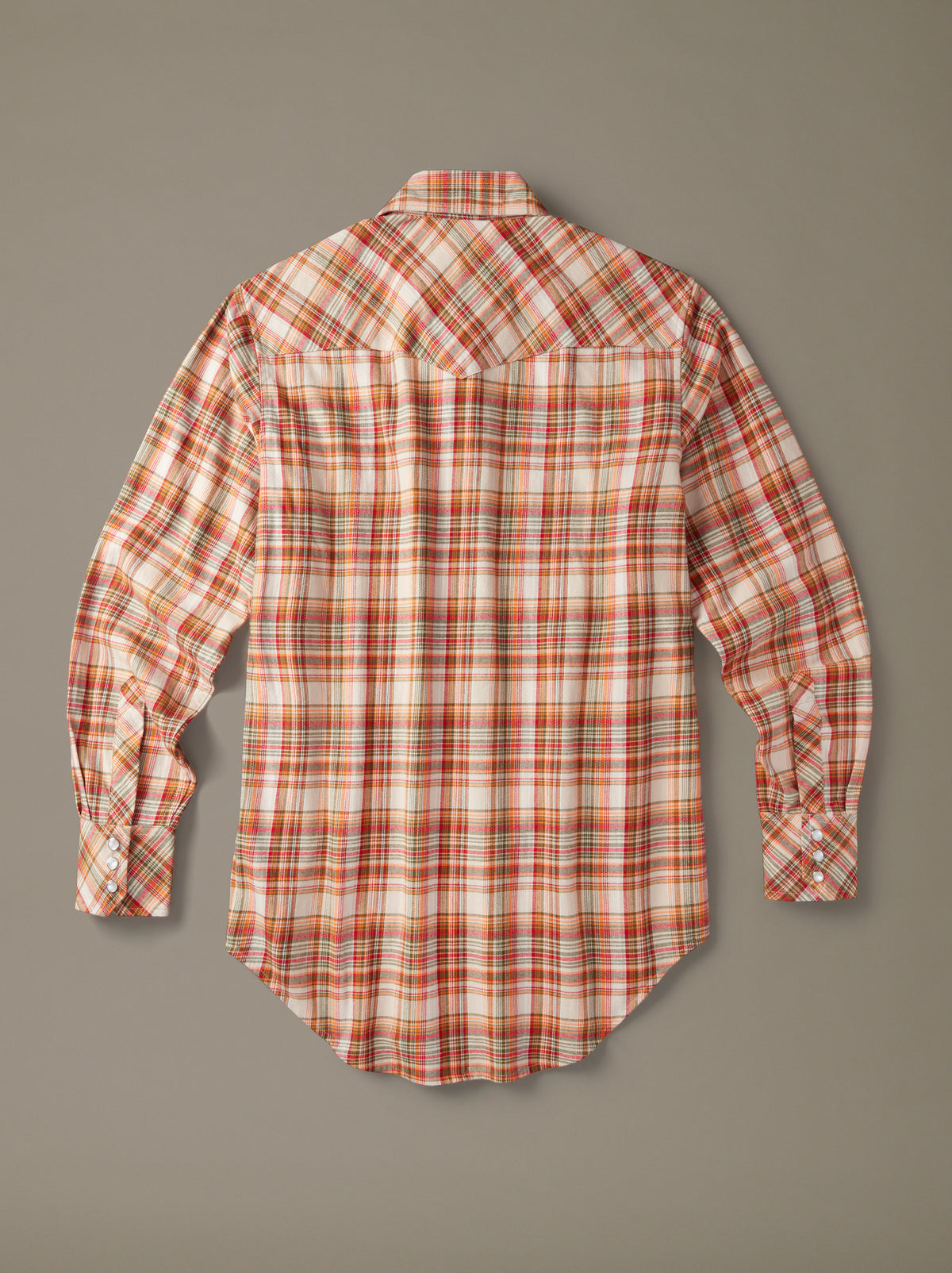 Aubin Western Check Shirt in Orange Check, back view