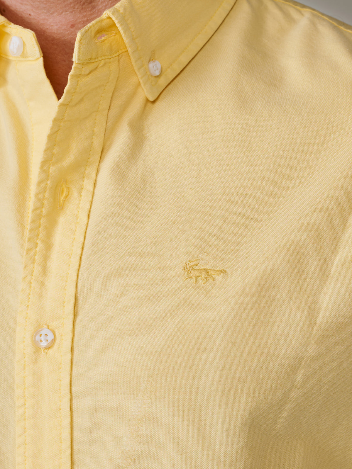 Aubin Lemon Horkstow Lightweight Relaxed Oxford Shirt | Oxford Shirt