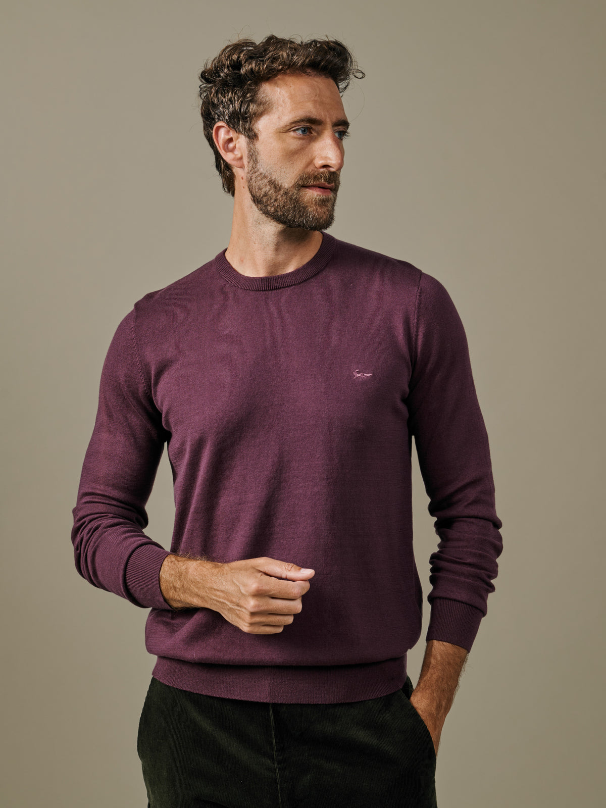 Aubin Purple Raven Cotton Crew Neck | Crew Neck