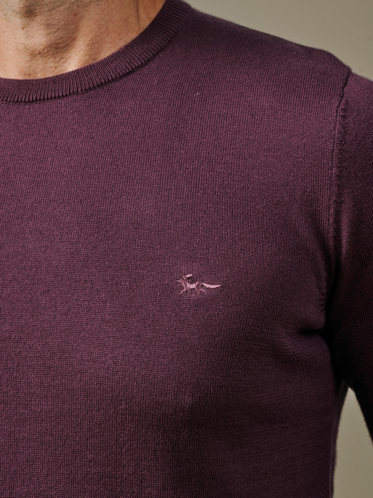 Aubin Purple Raven Cotton Crew Neck | Crew Neck