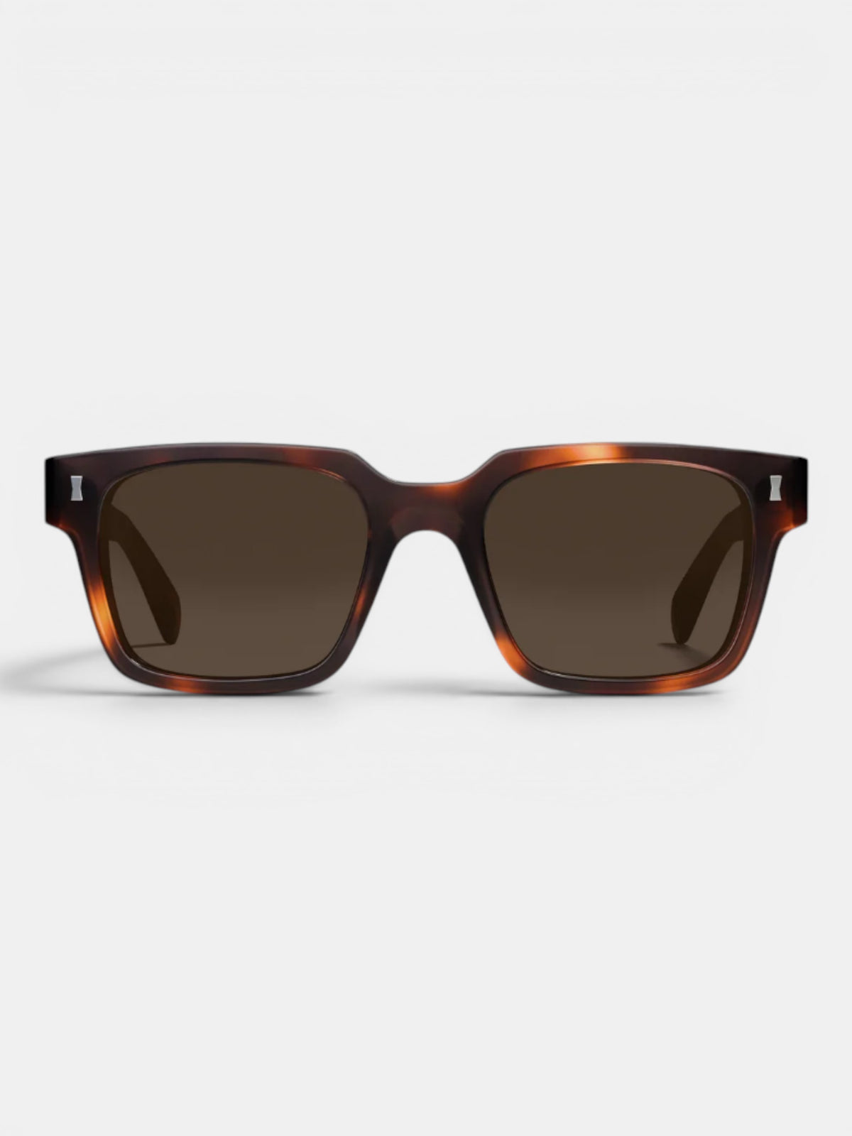 Aubin Dark Turtle Cubitts Panton Sunglasses | Sunglasses