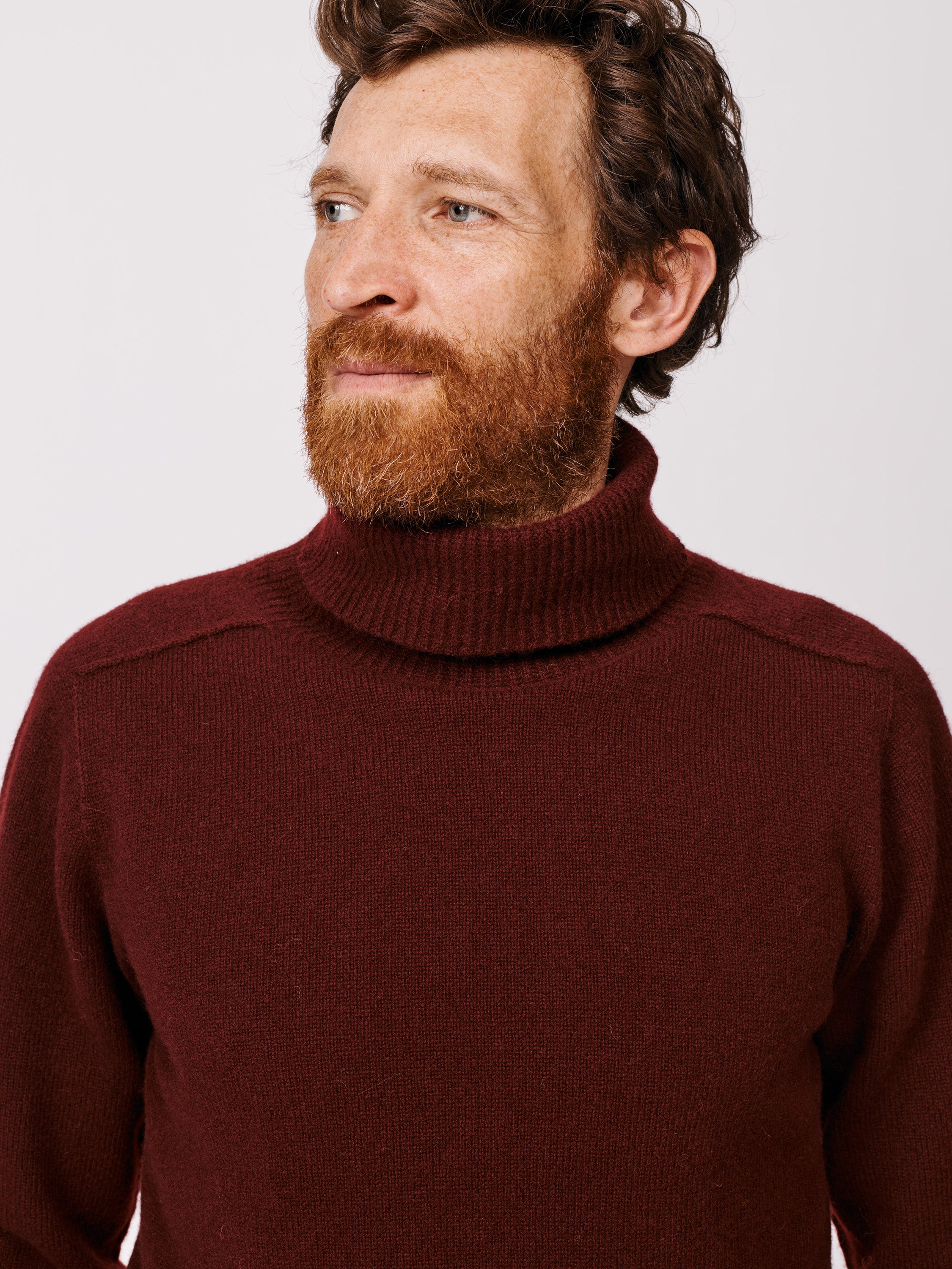 Taylor Cashmere Touch Roll Neck Jumper – Aubin