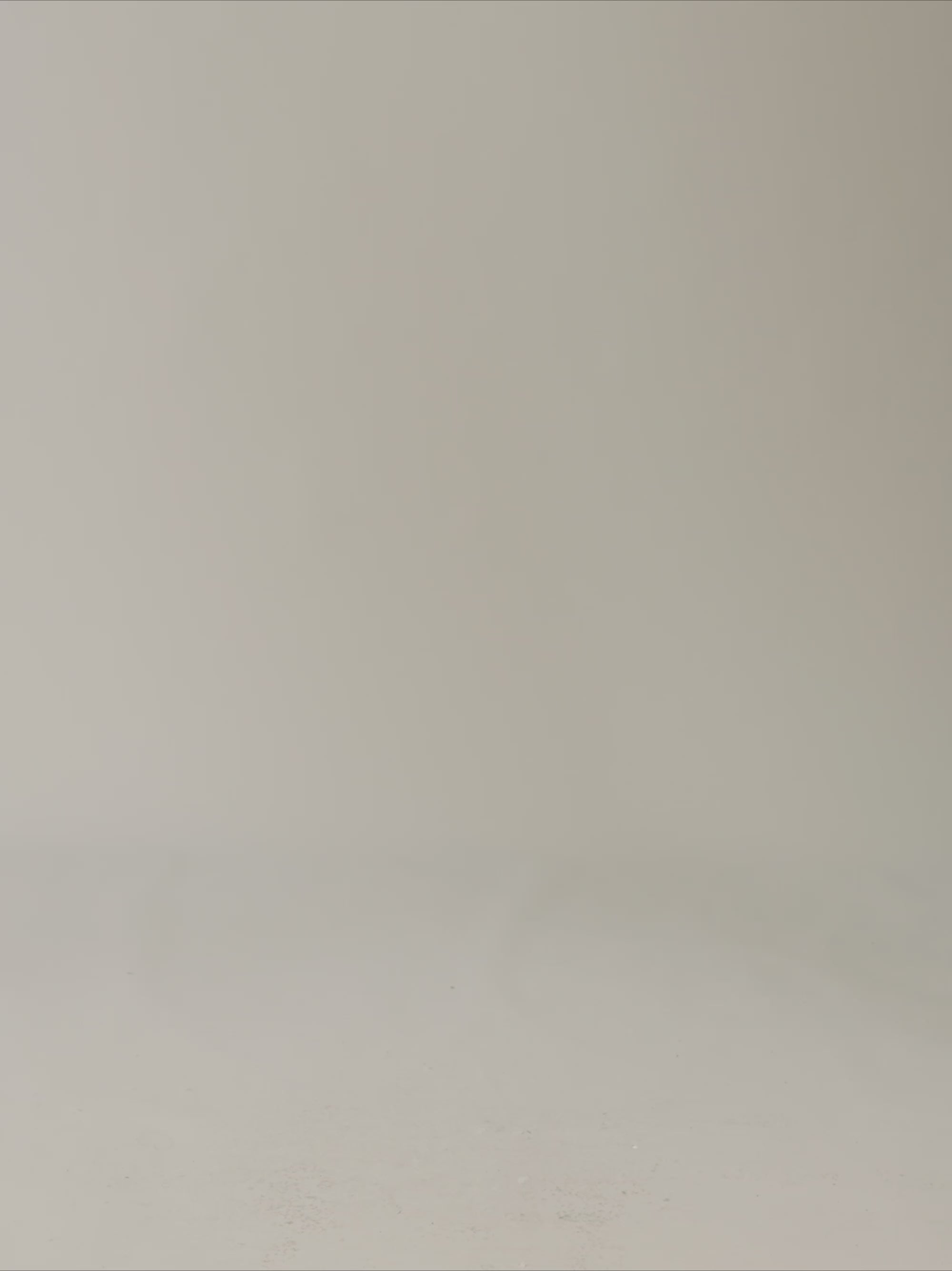 Video of Aubin Stamford Chino Short in Yolk