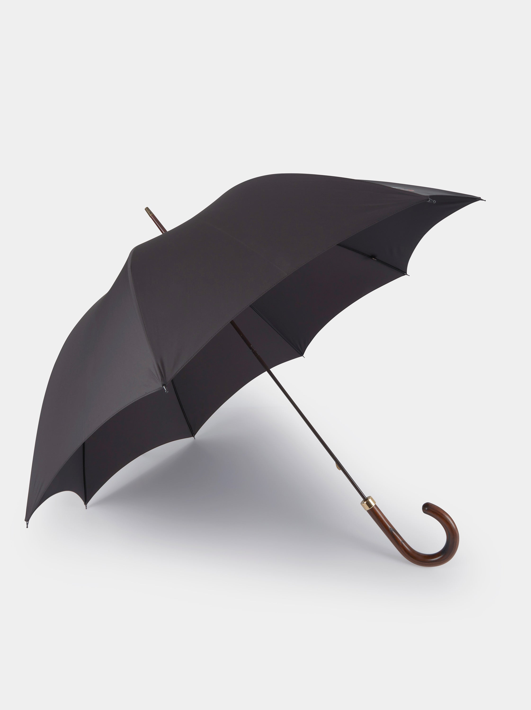 Fox Umbrella – Aubin - Main Image